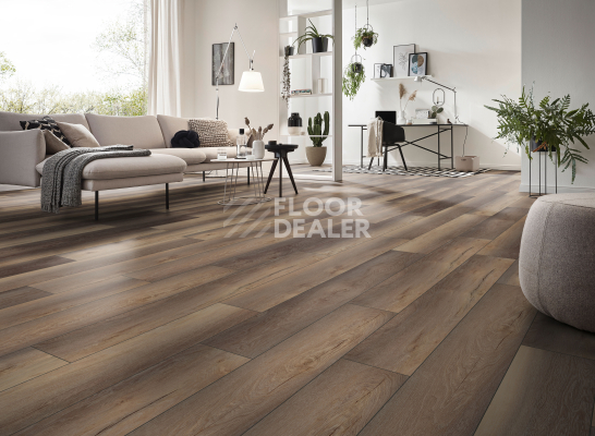 Ламинат Kronotex Exquisit 8мм d81002 Дуб Гнарренбург коричневый фото 2 | FLOORDEALER